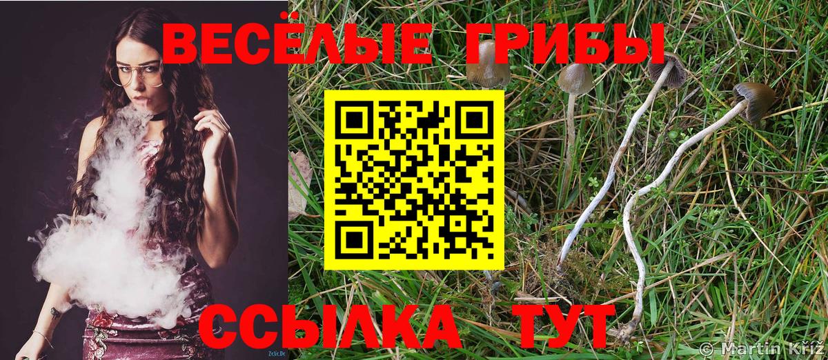 Галлюциногенные грибы Magic Shrooms Сокол