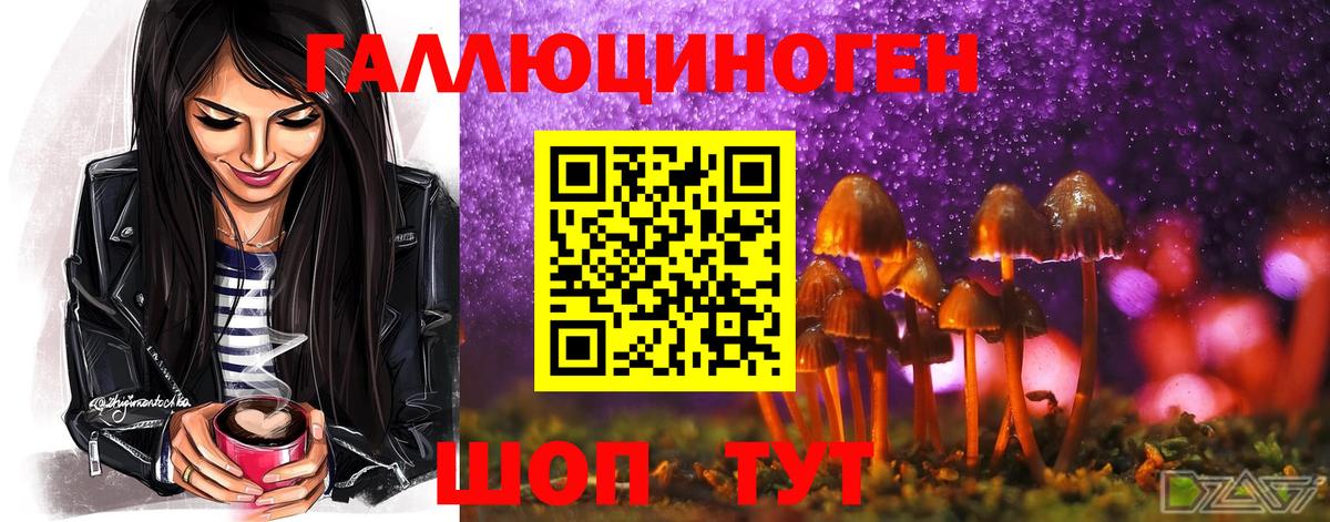 Галлюциногенные грибы прущие грибы  Вход с VPN  Галлюциногенные грибы мухоморы  Сокол 